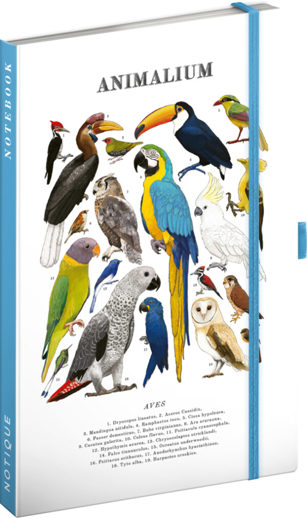 NOTIQUE Notes Animalium – Birds, lined, 13 x 21 cm