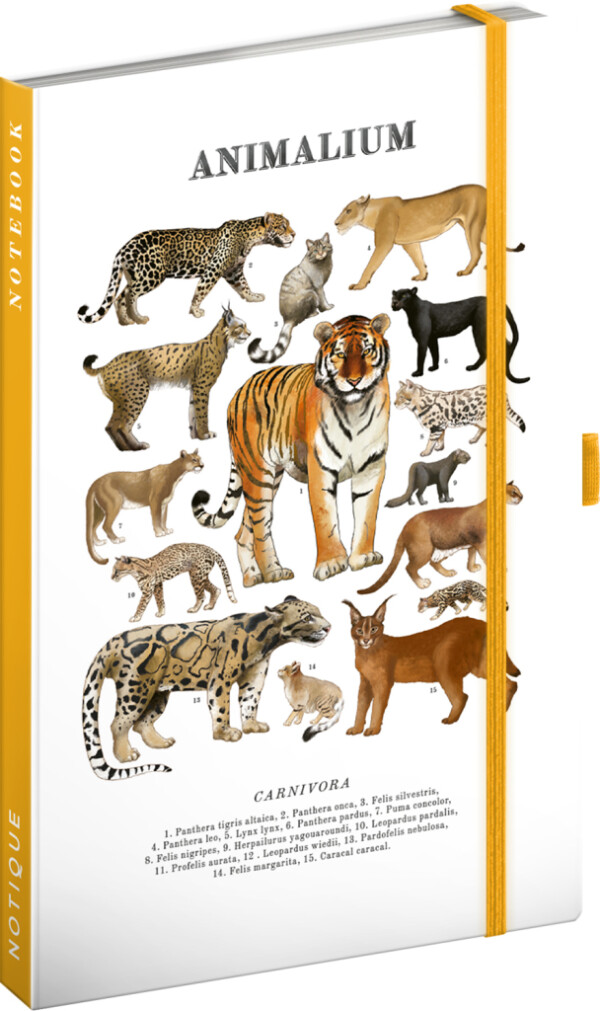 NOTIQUE Notes Animalium – Felines, lined, 13 x 21 cm
