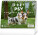 NOTIQUE Desk Calendar Dogs – with dog names 2027, 16.5 x 13 cm