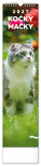 NOTIQUE Wall calendar Cats CZ/SK 2027, 12 x 48 cm