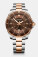 Victorinox Maverick Hodinky 43 mm - strieborná