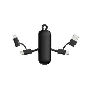 Urban Vitamin Dublin 100W 4 -in-1 keychain cable - Reklamnepredmety