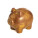 Golden pig