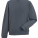 Z262N Authentic Sweatshirt