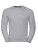 Z262N Authentic Sweatshirt