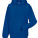 Z575N Hooded Sweatshirt - Z575N-Bright-Royal - variant Ls 1000198649