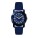 Watch ICE find Navy - IFN24913-1 - variant Ps IFN24913
