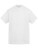 Anthem Amplify Heavyweight T-Shirt