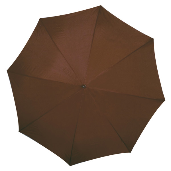 Automatic umbrella