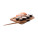 Nesty - AP781251-10 - variant Ap 781251-10