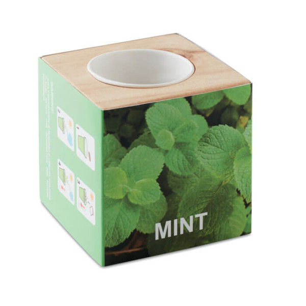 MENTA herb pot