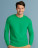 Ultra Cotton Adult T-Shirt LS - 171-09-509 - variant Fr 171095095