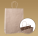 Brown bags with a twisted paper strapped paper - 300 - variant
