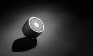Swiss Peak bass speaker