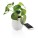 Flowerpot speaker - p326.973__b_1 - variant XD4 P326.973