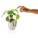 Flowerpot speaker - p326.973__b_2 - variant XD4 P326.973