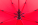 Cladok - ap781998-05-dg1-5v7mhsp9-optimized - variant 