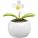 Solar flower - 6730-02 - variant Gi 6730-02