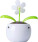 Solar flower - h4000100pk2_a - variant Gi H4000100PK2