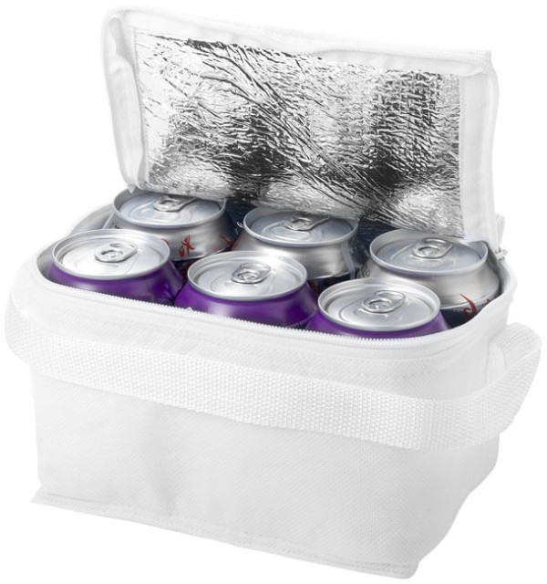 Spectrum 6-can cooler bag