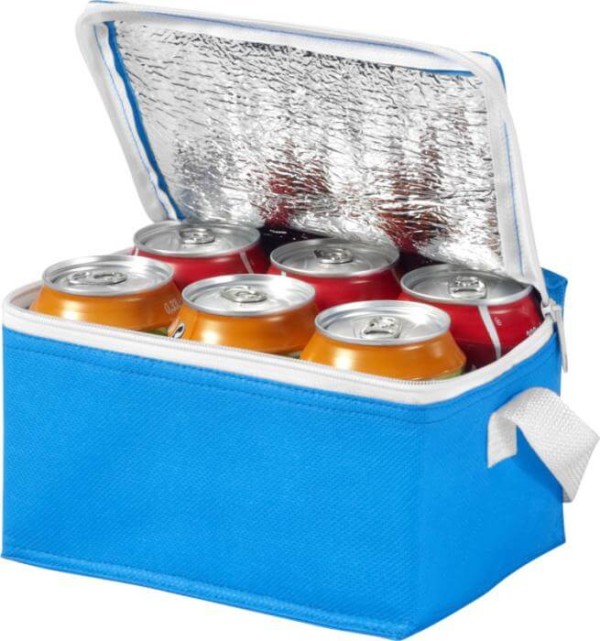 Spectrum 6-can cooler bag