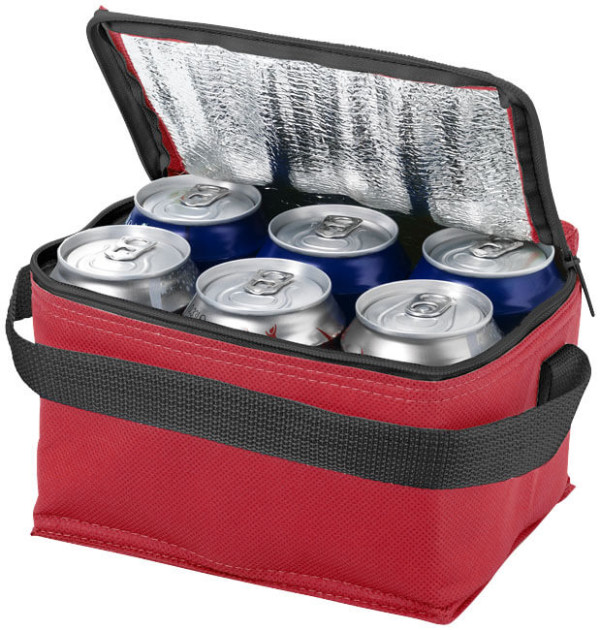 Spectrum 6-can cooler bag 4L