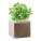 Bag with basil seeds BASIL - MO9545_13 - variant Mo MO9545-13