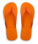 Cayman - 731408-03_f - variant Ap 731408-03_F