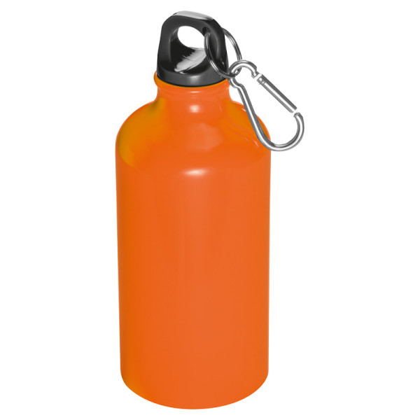 Carabiner Bottle - 500 ml