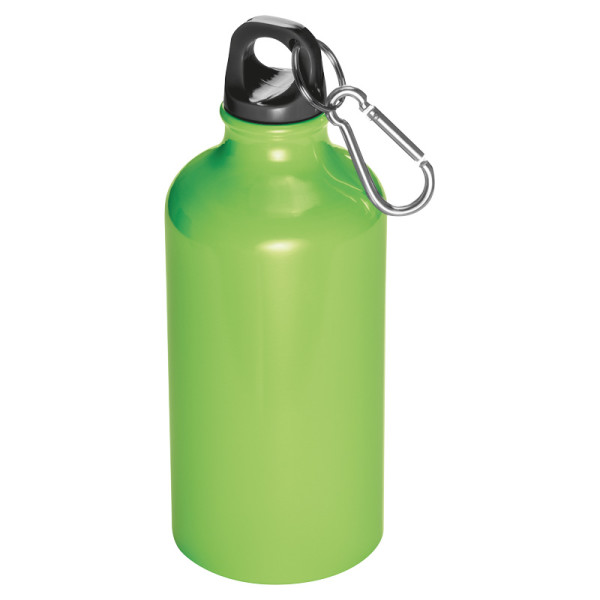 Carabiner Bottle - 500 ml