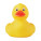 DUCK - MO9279_08 - variant Mo MO9279-08