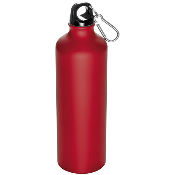 Carabiner bottle - 800 ml