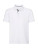 Men`s HD Raglan Polo - 511-00-000-f-2019-01 - variant