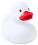 Kolda - ap721186-01-o86rk32s - variant