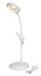 FRESH LIGHT - 58-8116004 - variant In 58-8116004