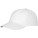 Feniks - 38666010 - variant PF 38666010