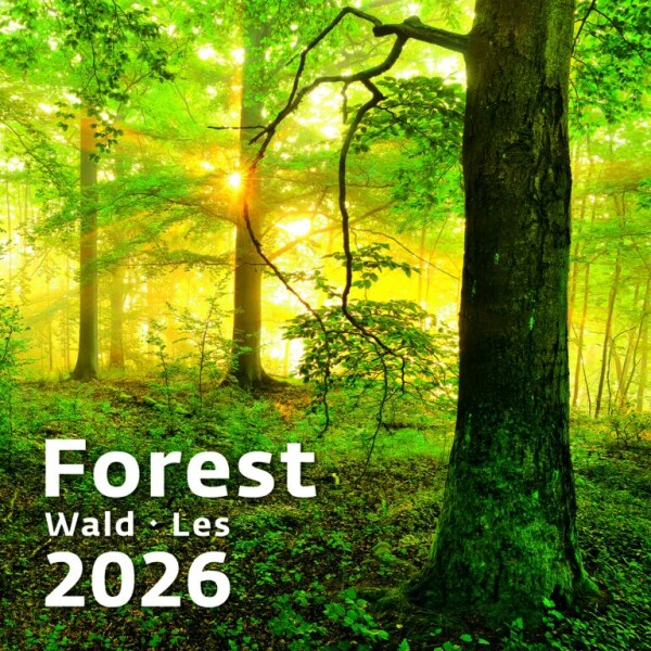 Calendar Forest