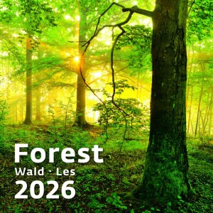 Calendar Forest - Reklamnepredmety