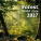 Calendar Forest - N171-27_013 - variant He N171-27