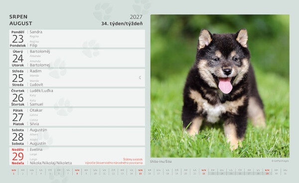 Calendar Puppies