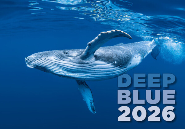 Deep Blue Calendar