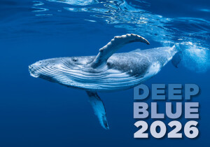 Deep Blue Calendar - Reklamnepredmety