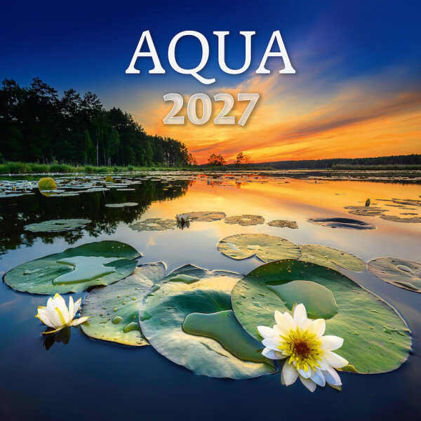 Calendar Aqua