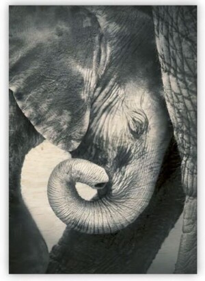 Wooden picture Little Elephant - Reklamnepredmety