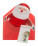 Poxtal Christmas card - ap741654_oir45cfr - variant Ap 741654