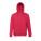 AMSTERDAM. Men's hooded full zipped sweatshirt - 30161-105-d-kopia - variant