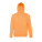 AMSTERDAM. Men's hooded full zipped sweatshirt - 30161-178-d-kopia - variant