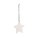 ASPEN Christmas decoration - 99332_06 - variant St 9933206