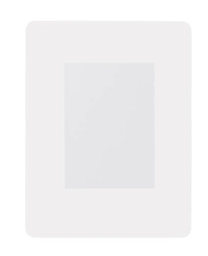 Pictium