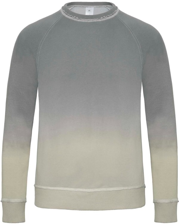 Men's Raglan Sweatshirt